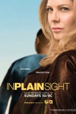 Watch In Plain Sight 5movies